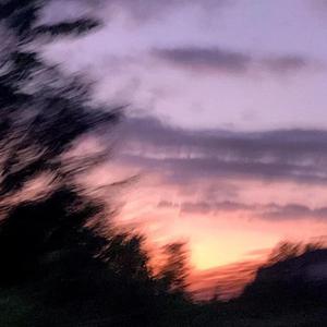 成人网在线观看
