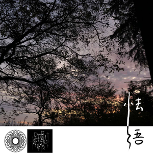 成人网在线观看
